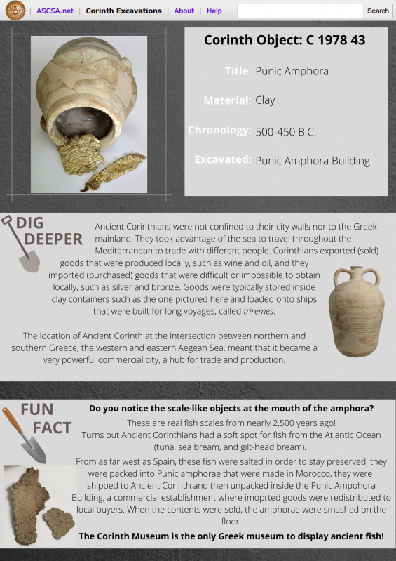 Amphora