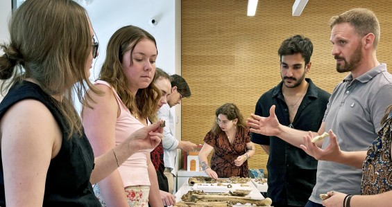 Introduction to Bioarchaeology Course