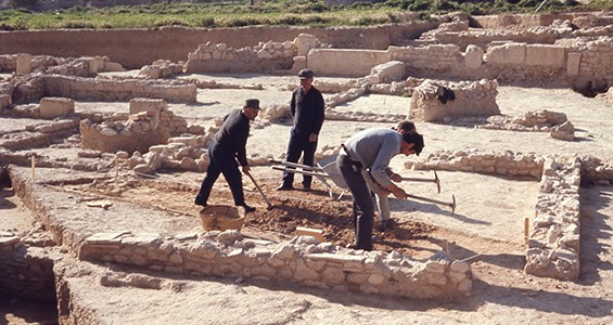 Appendix III. Archaeological Projects <br>(1882–2024)