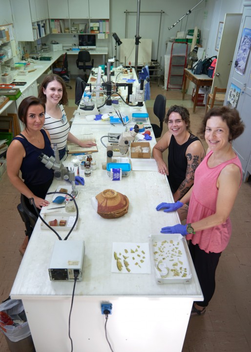 From the Trench to the Lab: Learning to Conserve Archaeological Material at the Agora